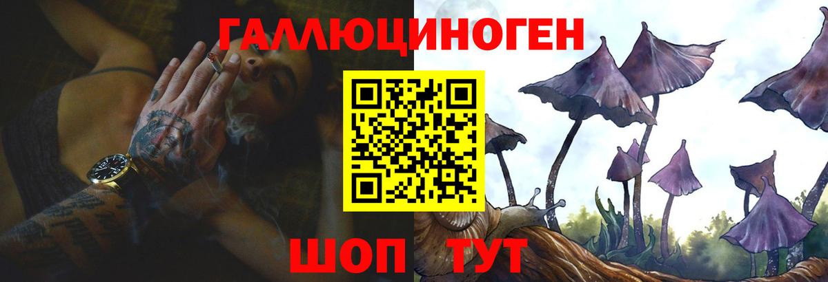 Галлюциногенные грибы мухоморы Елизово